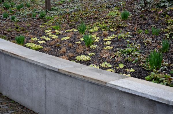 Cost of Concrete Wall Construction in Terre Haute