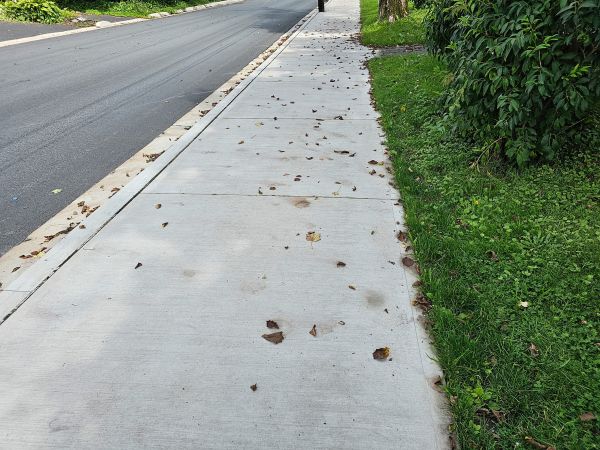 Cost of Sidewalk Renovation in Terre Haute