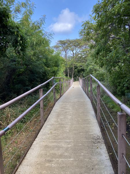 Cost of Footpath Construction in Terre Haute