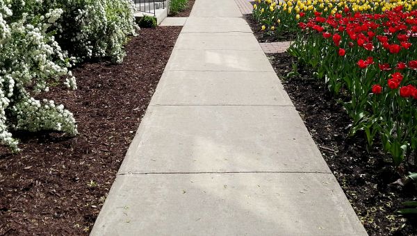 Cost of Cement Sidewalk Installation in Terre Haute